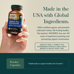 Close-up of Turkey Tail mushroom immune-support capsule
