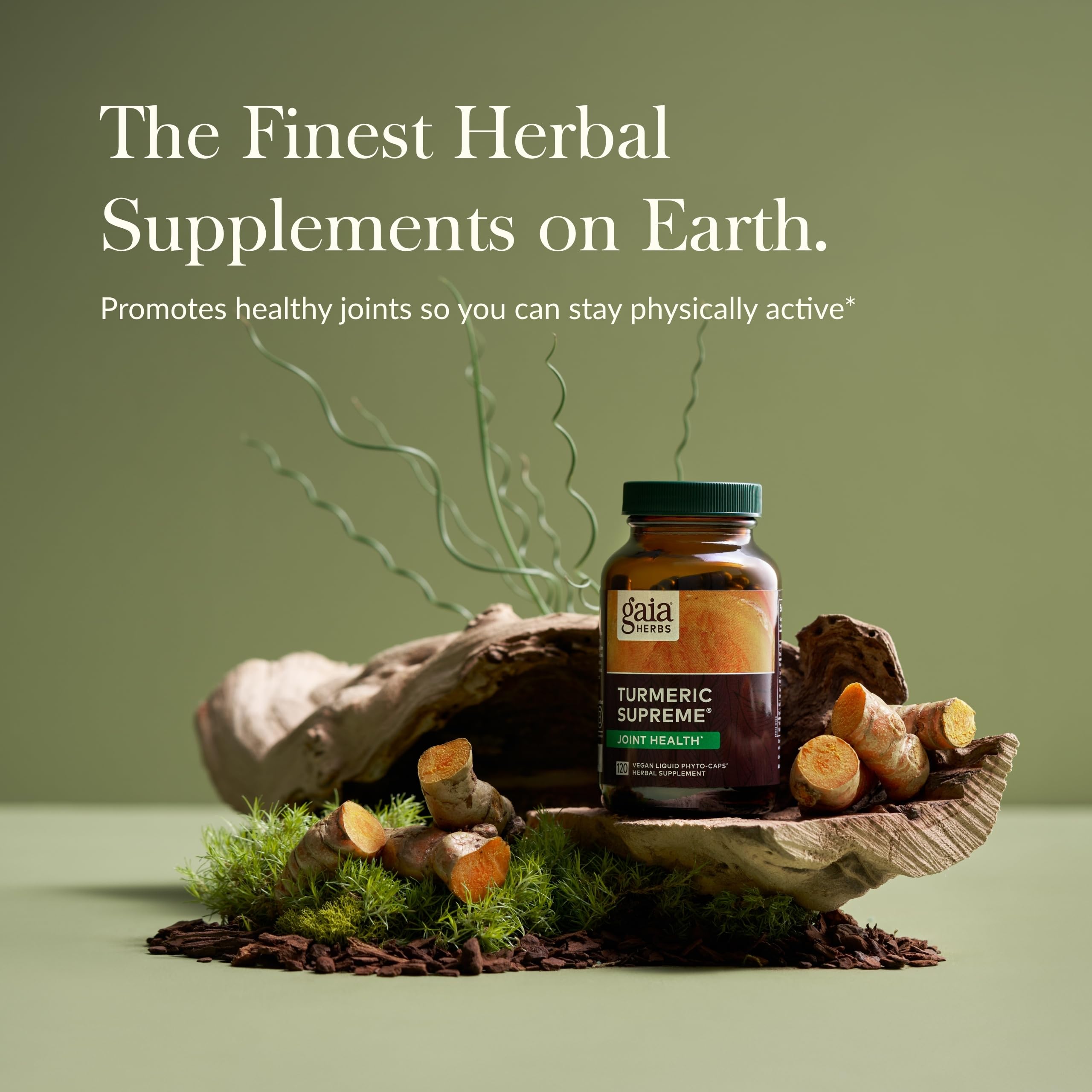 Graphic showing herbal ingredients like devil's claw, ginger root, and quercetin