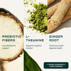 Ingredients highlight: greens, chlorella, ginger and adaptogens