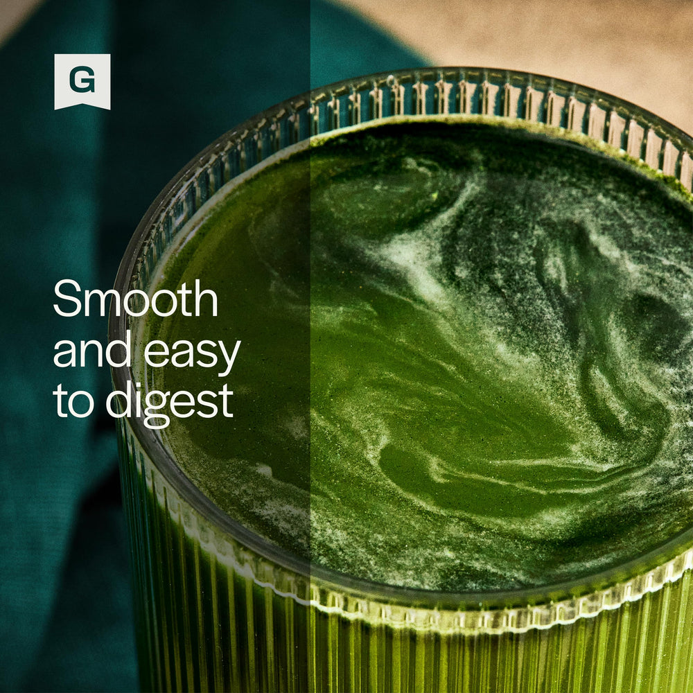 Travel-friendly greens powder packets for Gainful Performance Greens