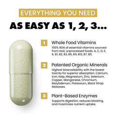 Plant enzymes aiding absorption in Square 1 Multivitamin