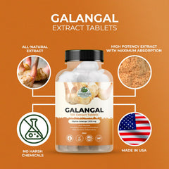 Pure and natural formulation for galangal 10X extract