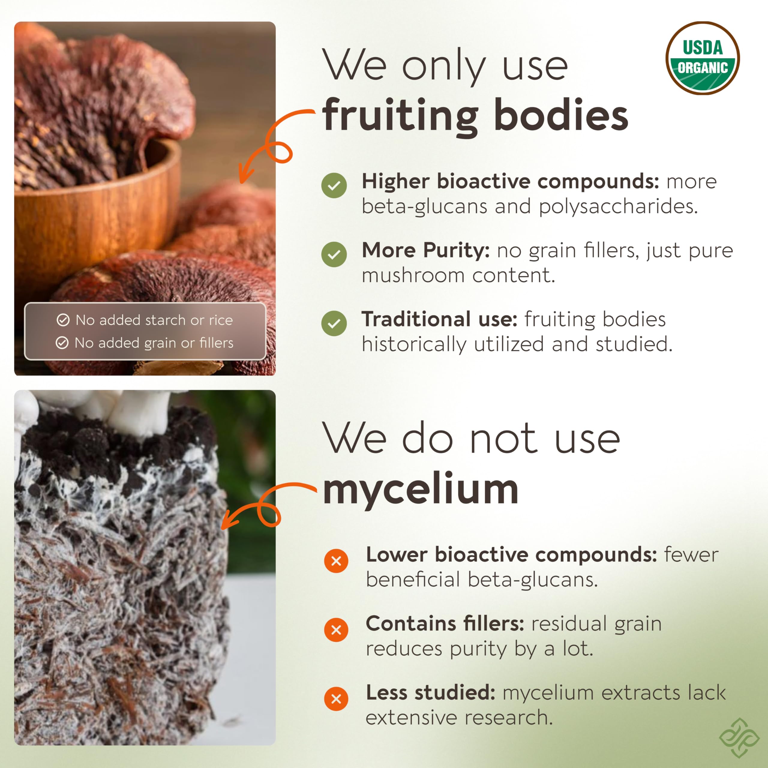 Close-up of 100% fruiting bodies Ganoderma lucidum used in the extract