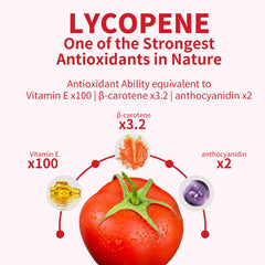 Back label showing supplement facts for GANOHERB Lycopene Supplement