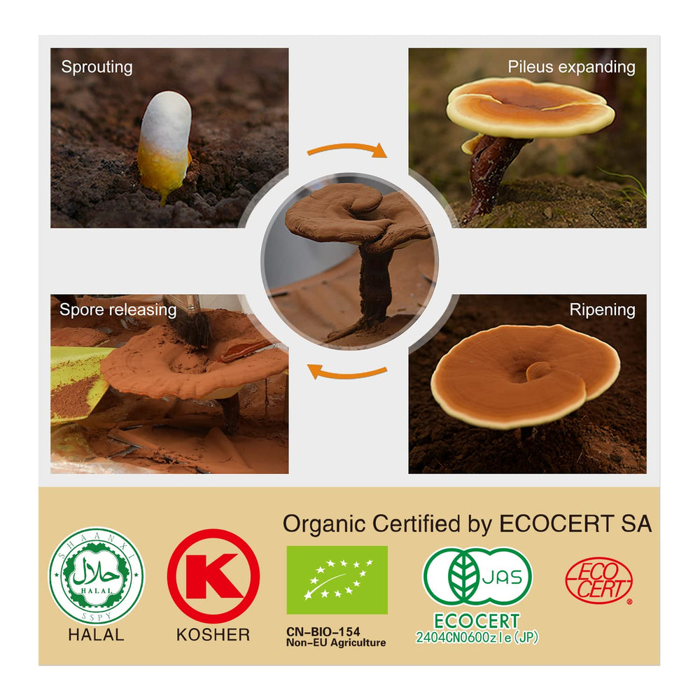 Vegan, Non-GMO and Gluten-Free icons on product label