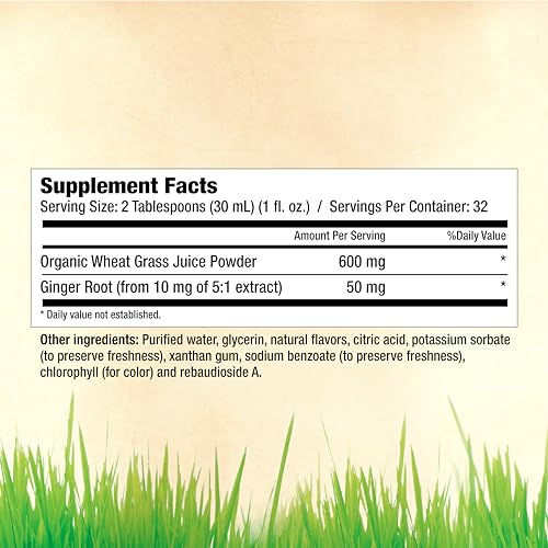 Close-up of wheat grass liquid and ginger extract illustration