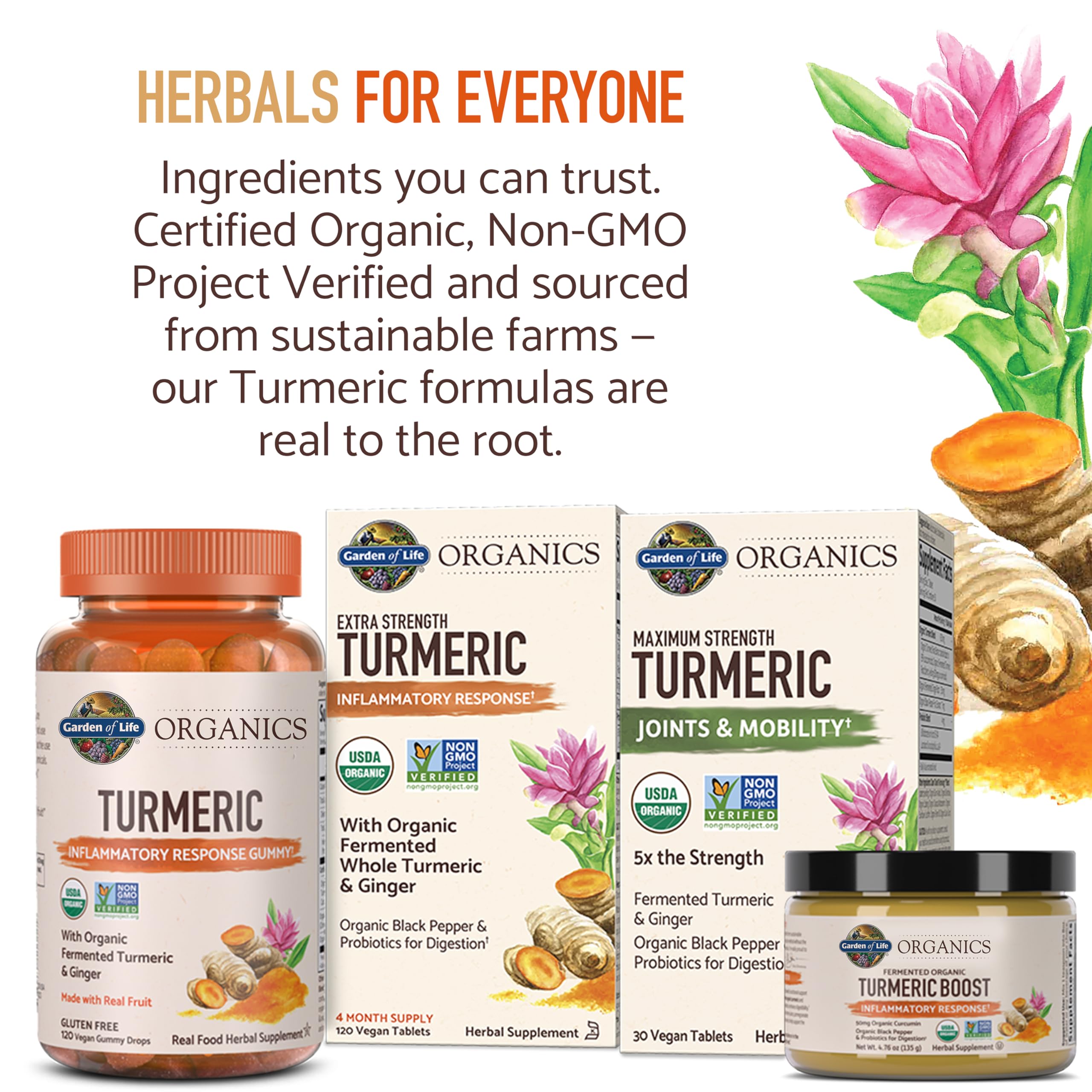 Non-GMO Project Verified seal on turmeric supplement box