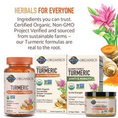 Non-GMO Project Verified seal on turmeric supplement box