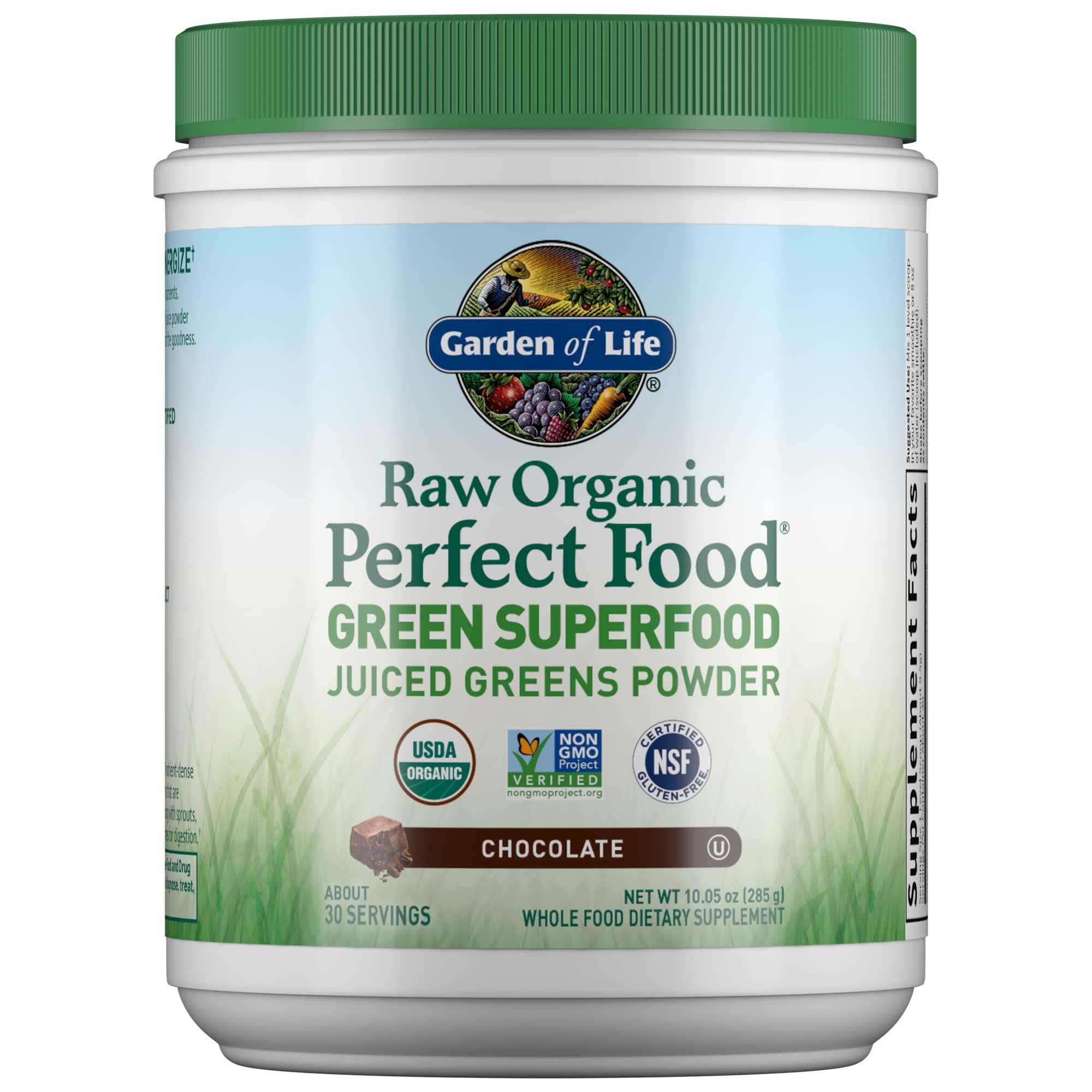 Garden of Life Raw Organic Perfect Food Chocolate bottle front shows a convenient daily greens boost.