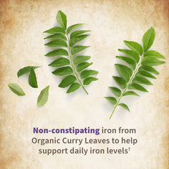 B vitamins for energy support