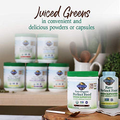 Packaging and branding of Garden of Life Perfect Food Greens Powder Chocolate