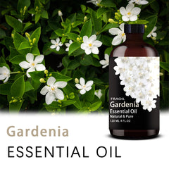 Gardenia essential oil bottle with glass dropper