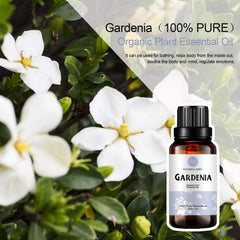 Gardenia essential oil extracted in Italy using supercritical CO2