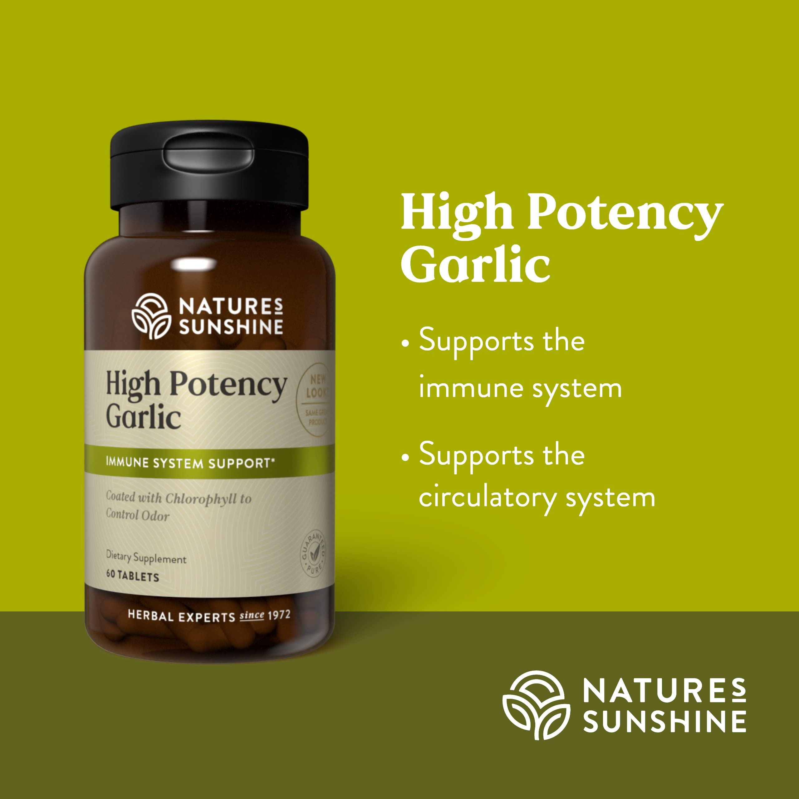Garlic with odor-control coating and chlorophyll