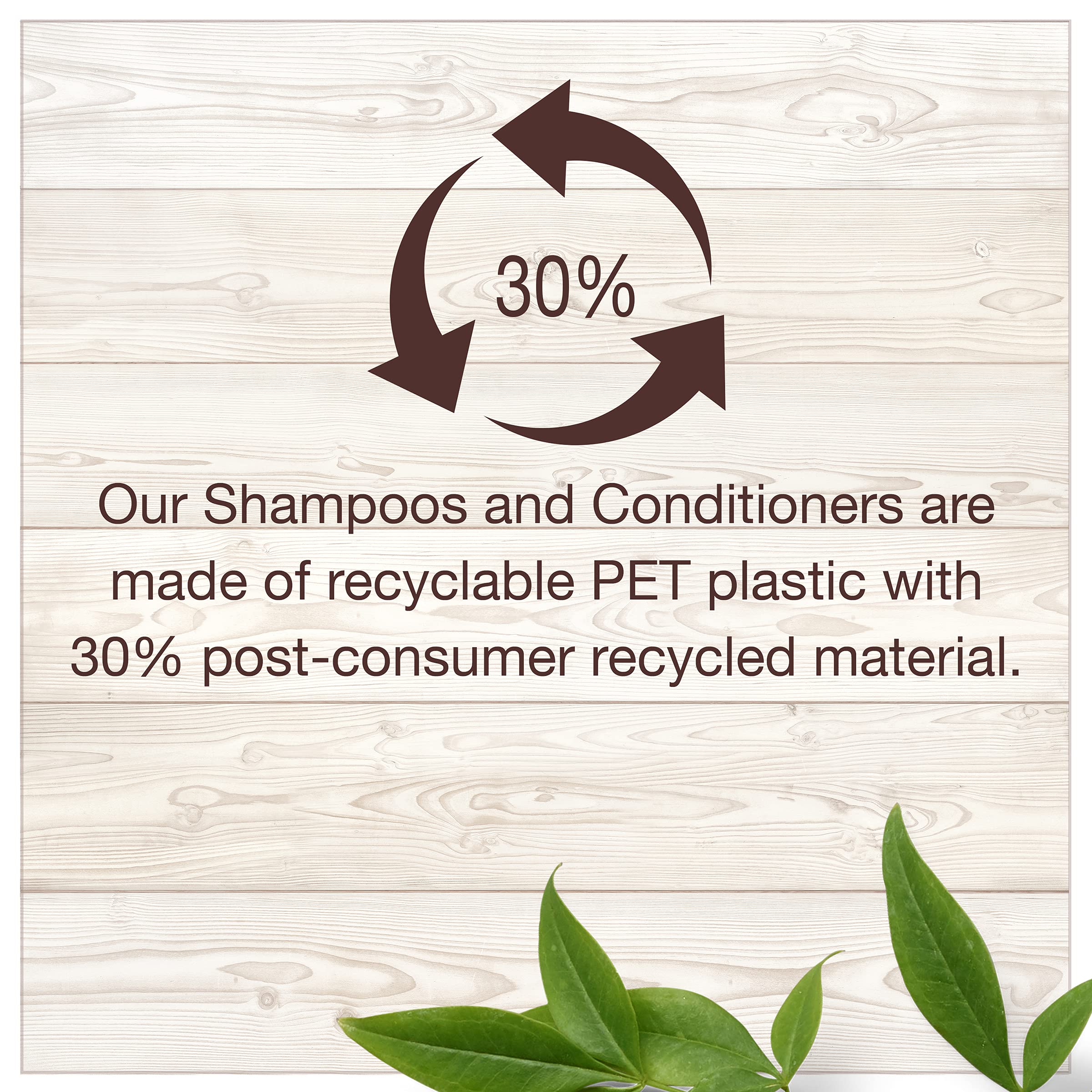Garnier Whole Blends hair model with conditioner shows smooth, manageable hair.