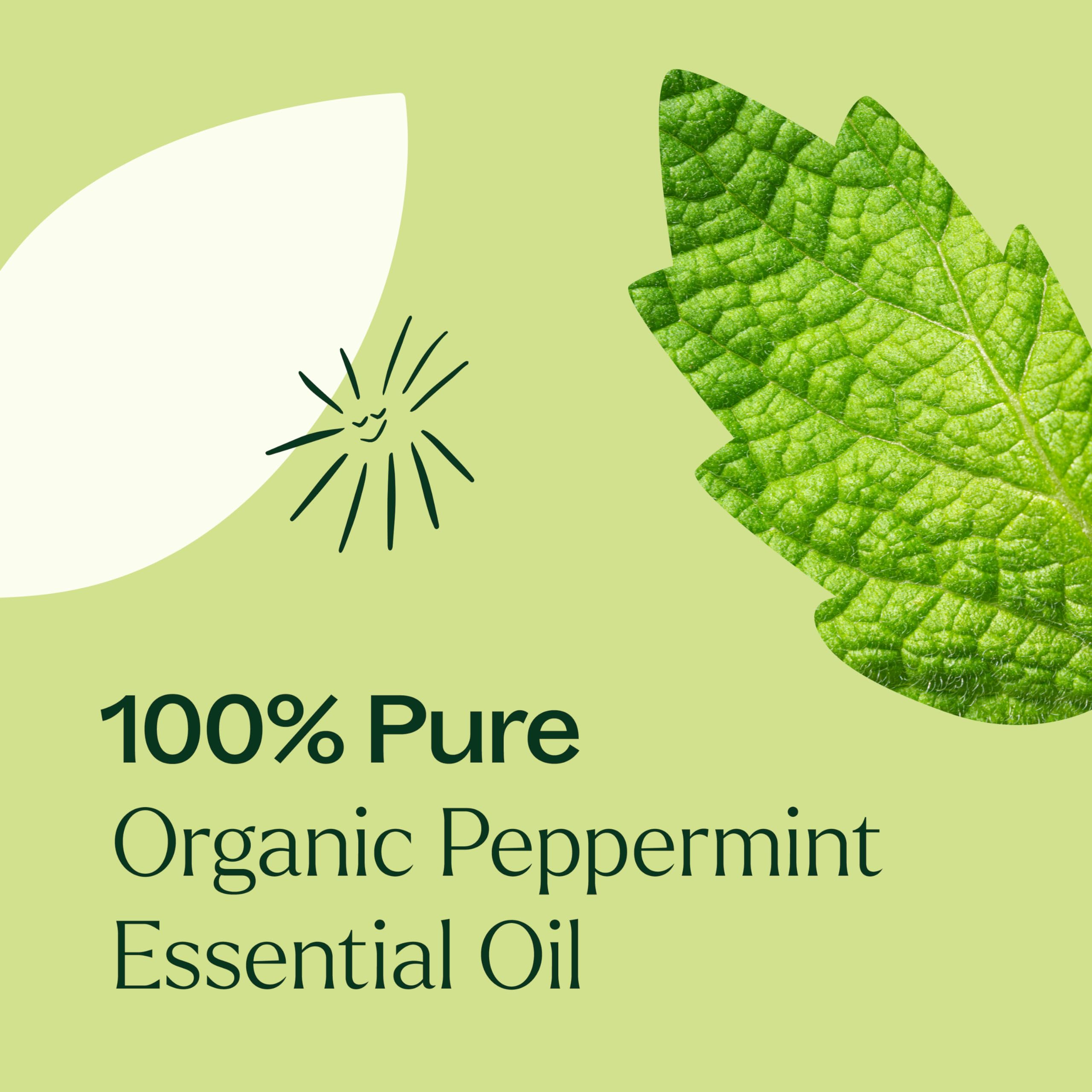 GC-MS report document for peppermint oil.