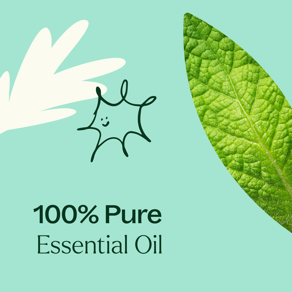 GC-MS batch report for Plant Therapy essential oil