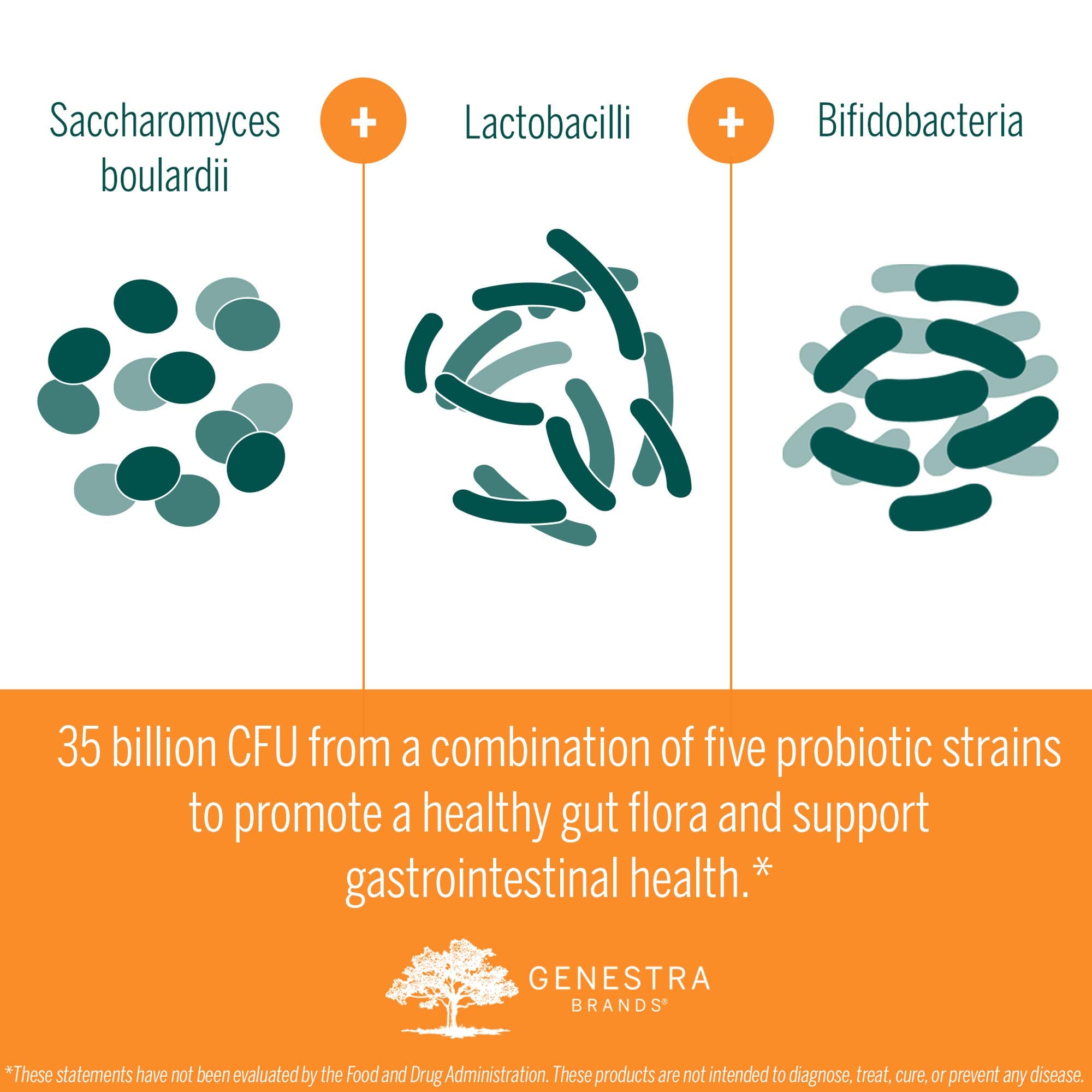 Lifestyle image of travelers with probiotics