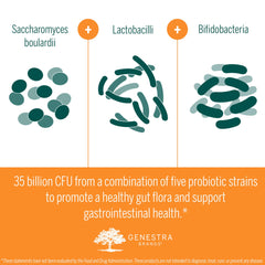 Lifestyle image of travelers with probiotics