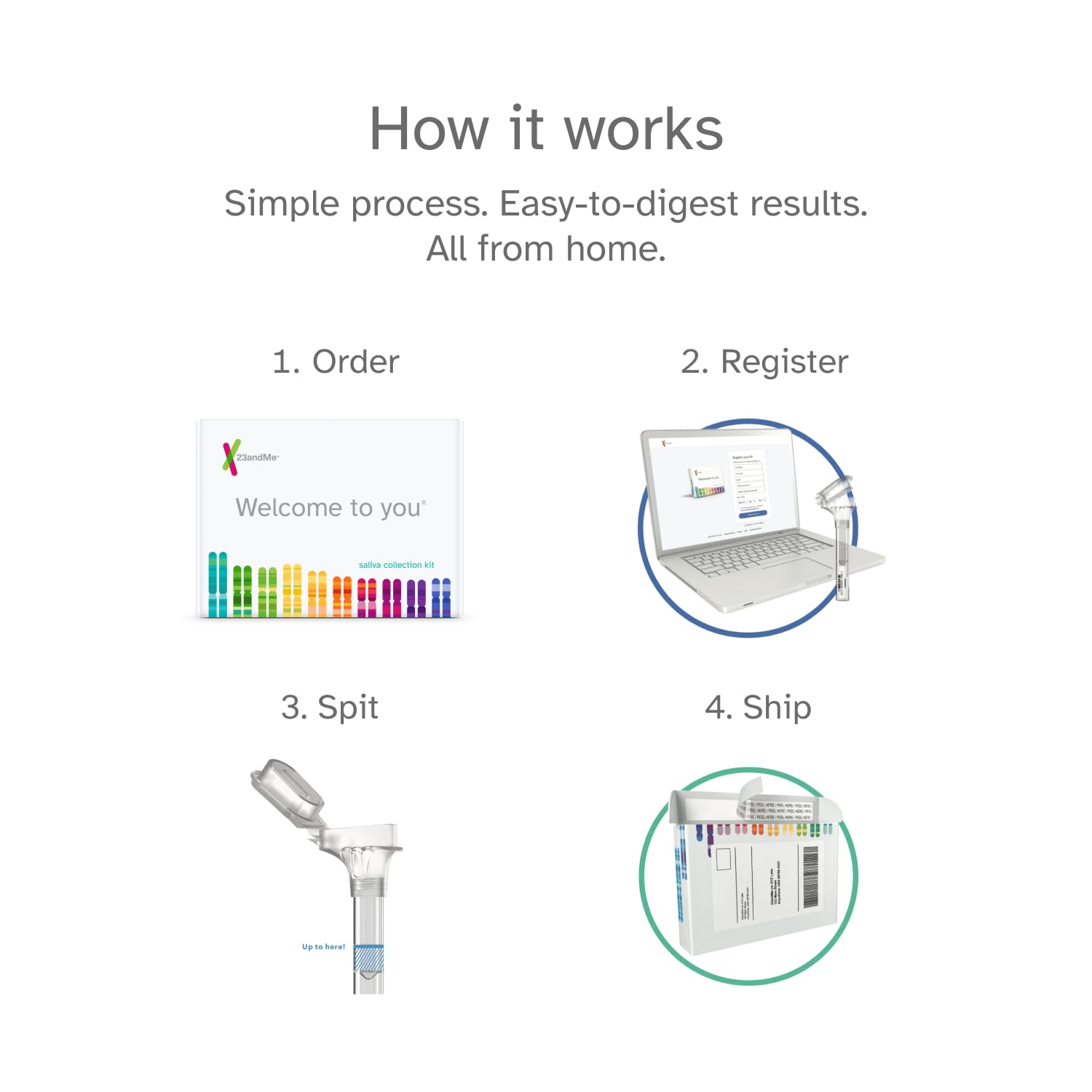 Genetic wellness insights