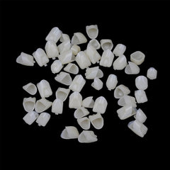 Kit contents: 120 tooth caps and fillers