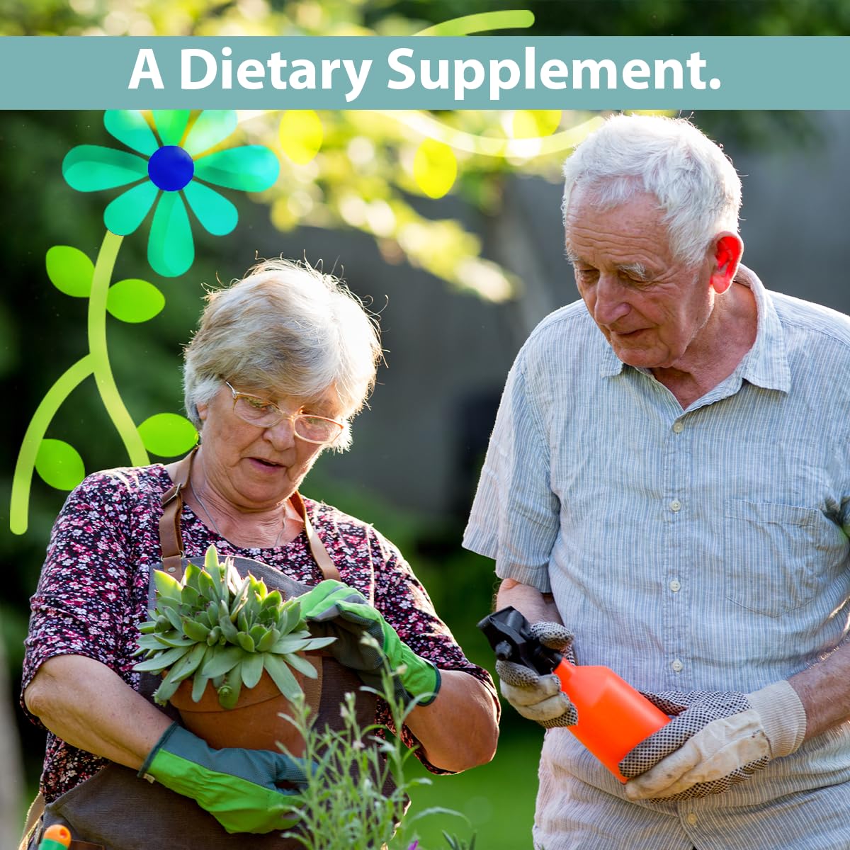 Cartilage support capsules by Gericare for joint health