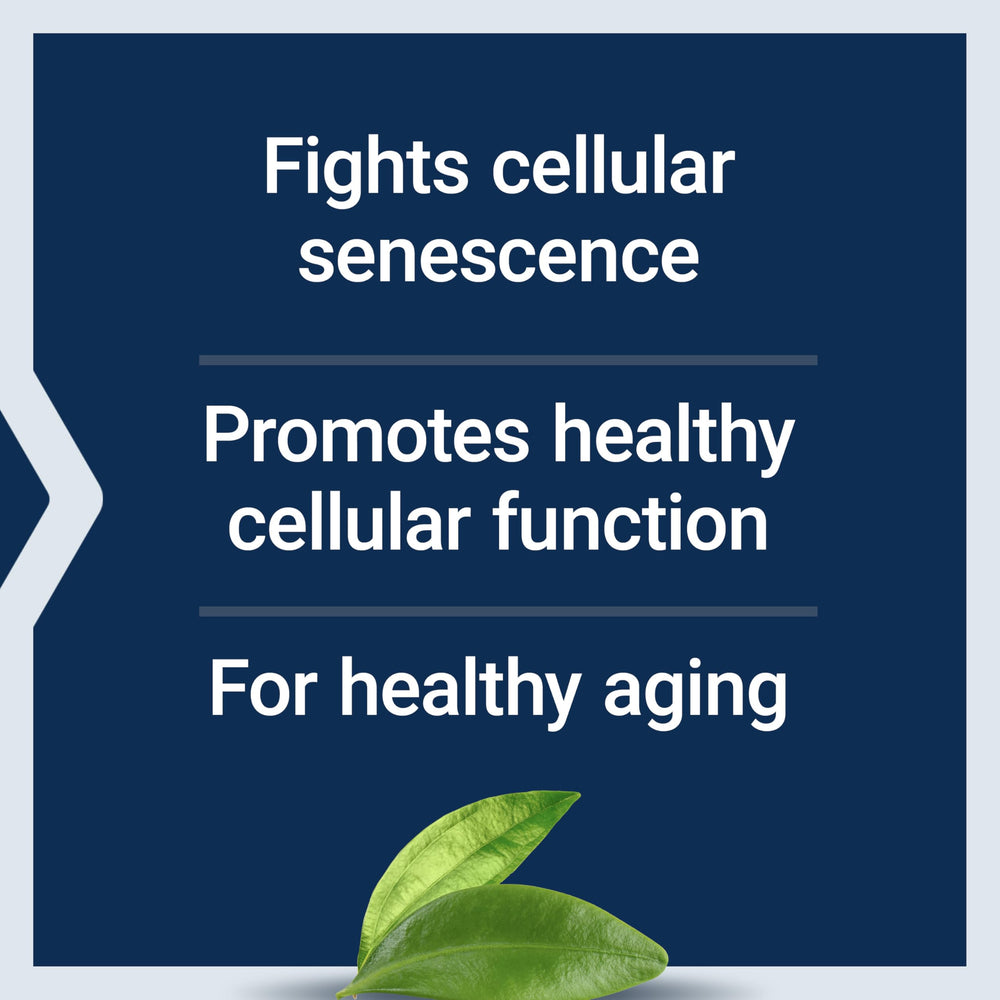 Vitamin E and green tea extract ingredients