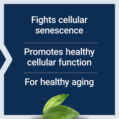 Vitamin E and green tea extract ingredients