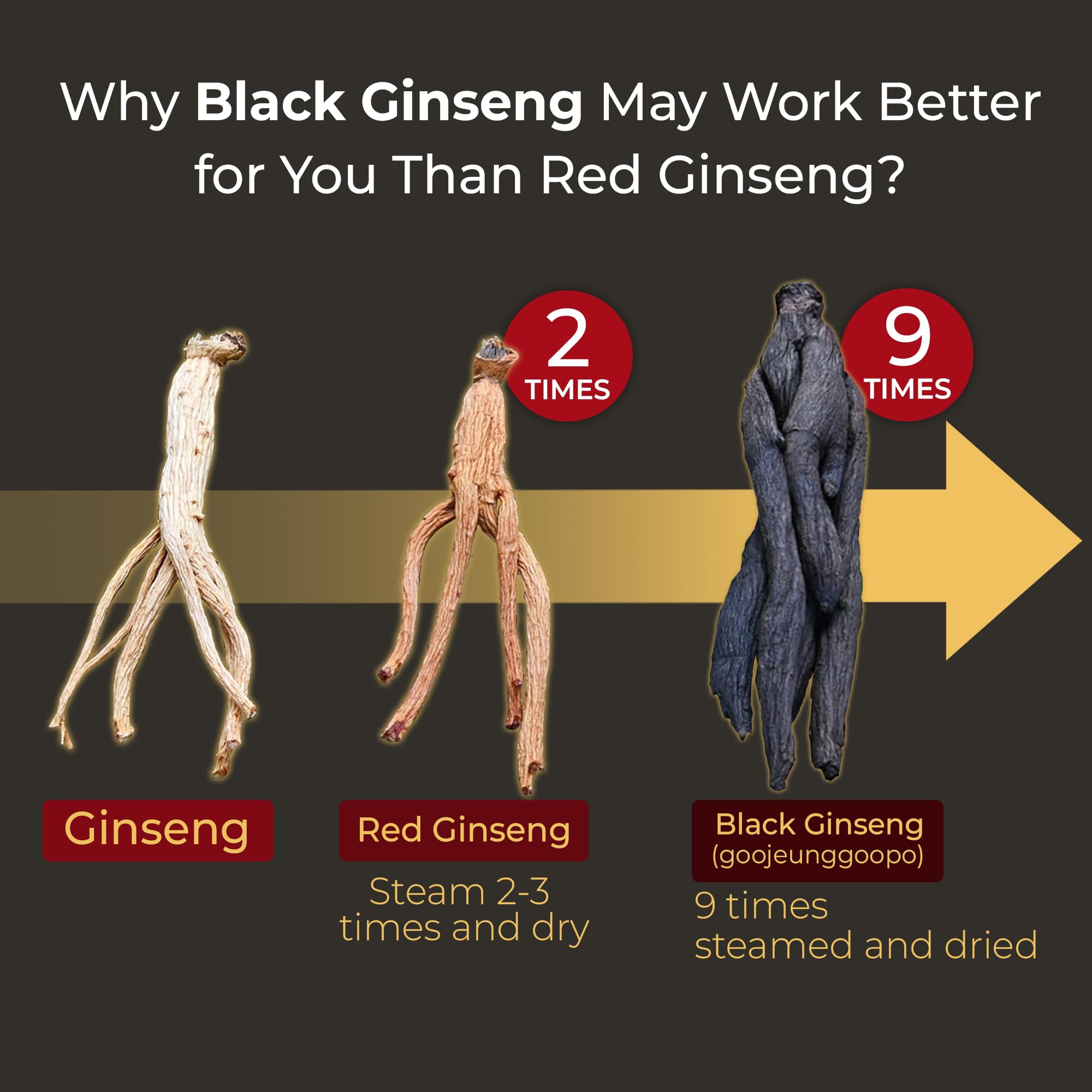 Powdered black ginseng up close in scoop