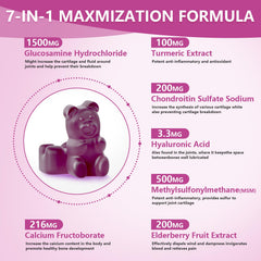 Illustration of joints, turmeric, MSM and elderberry components