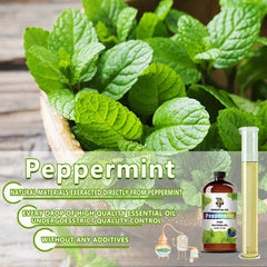 Gift box packaging for Peppermint Essential Oil