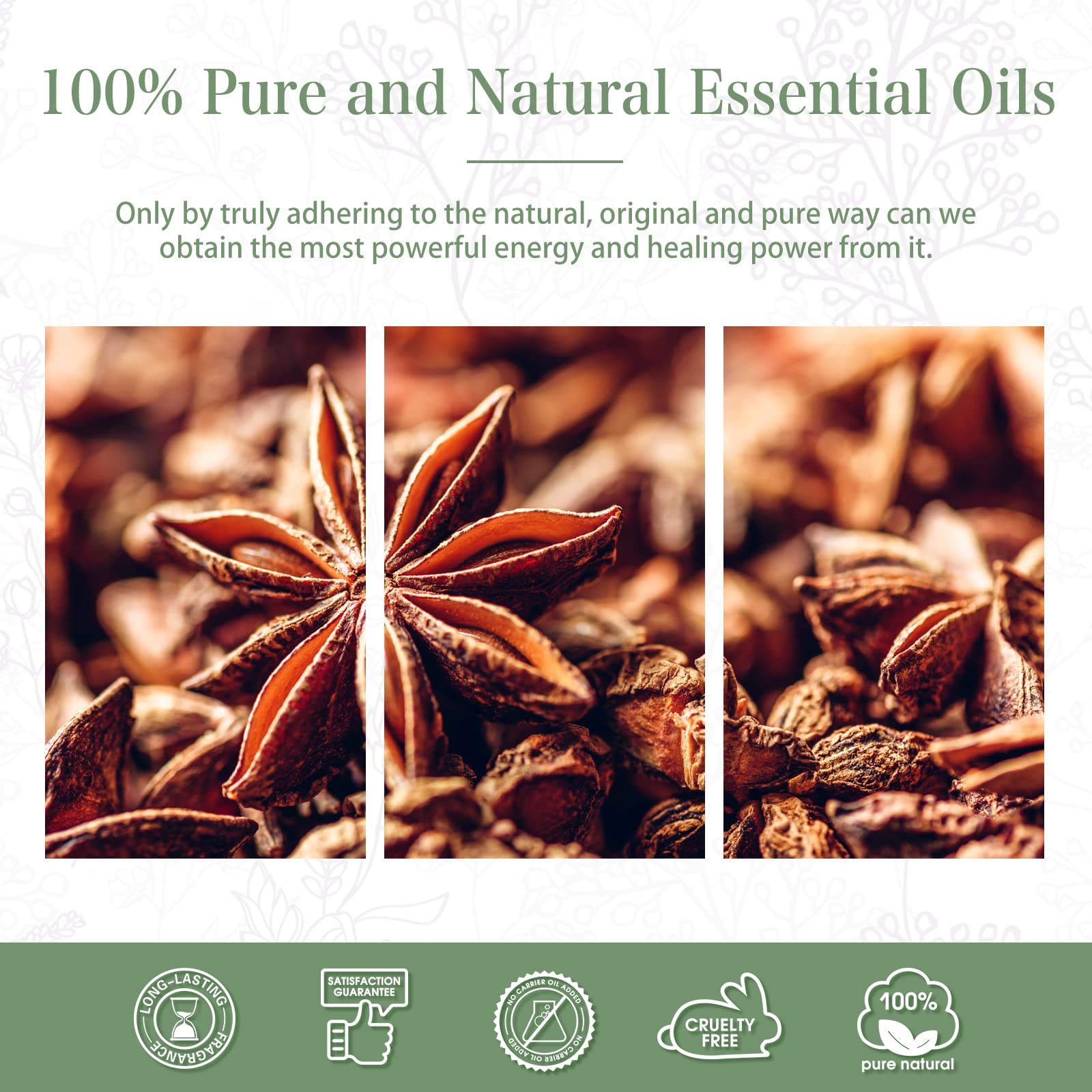 Elegant gift packaging for anise star essential oil