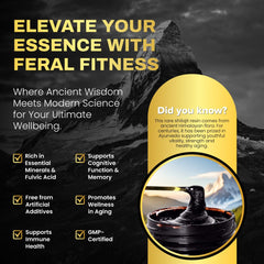 Premium gift-ready packaging close-up for Shilajit resin