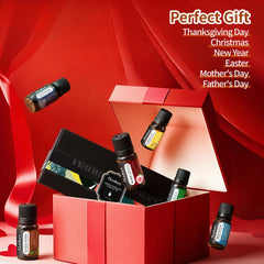 Gift-ready packaging with included blending e-book