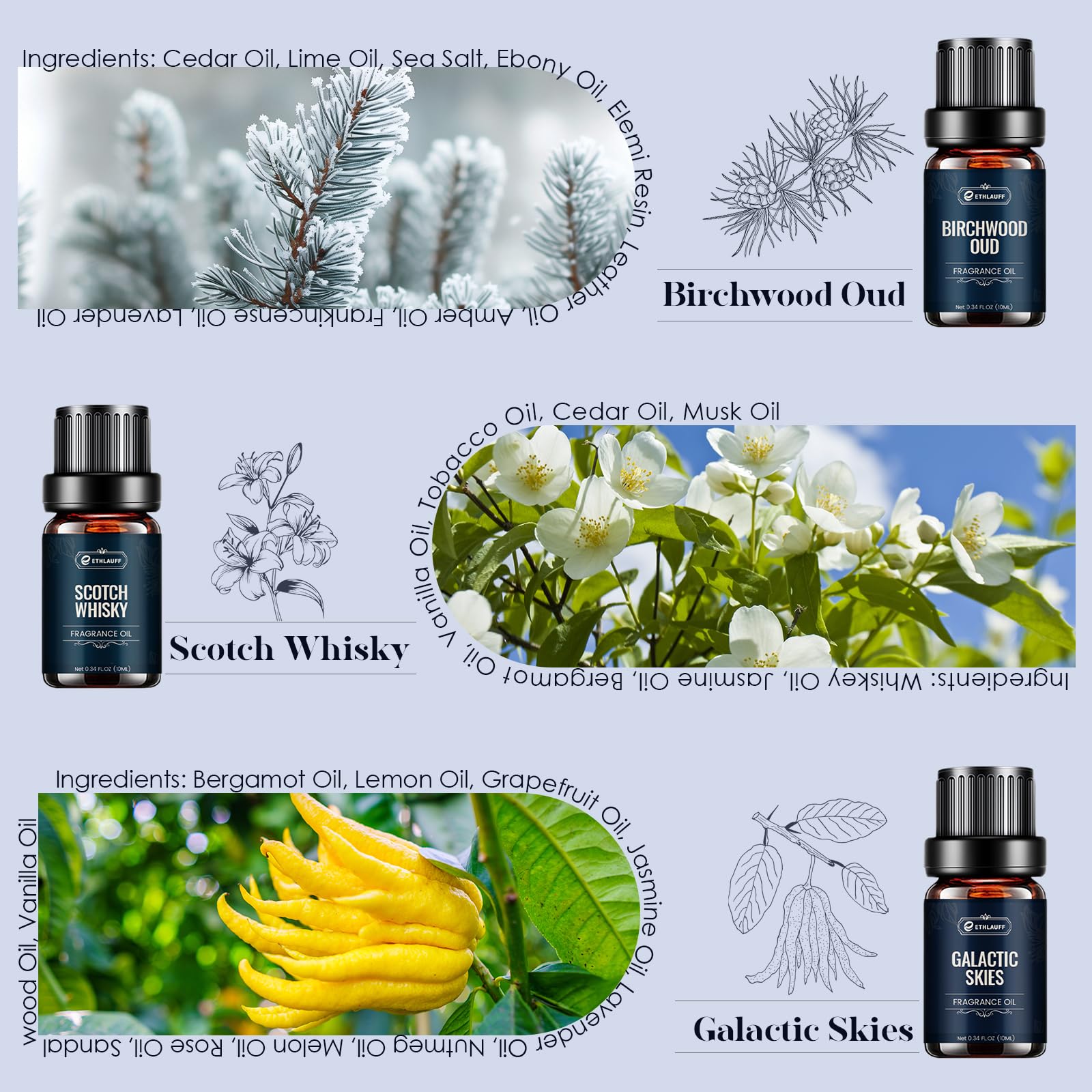 Elegant gift packaging for the fragrance oil set