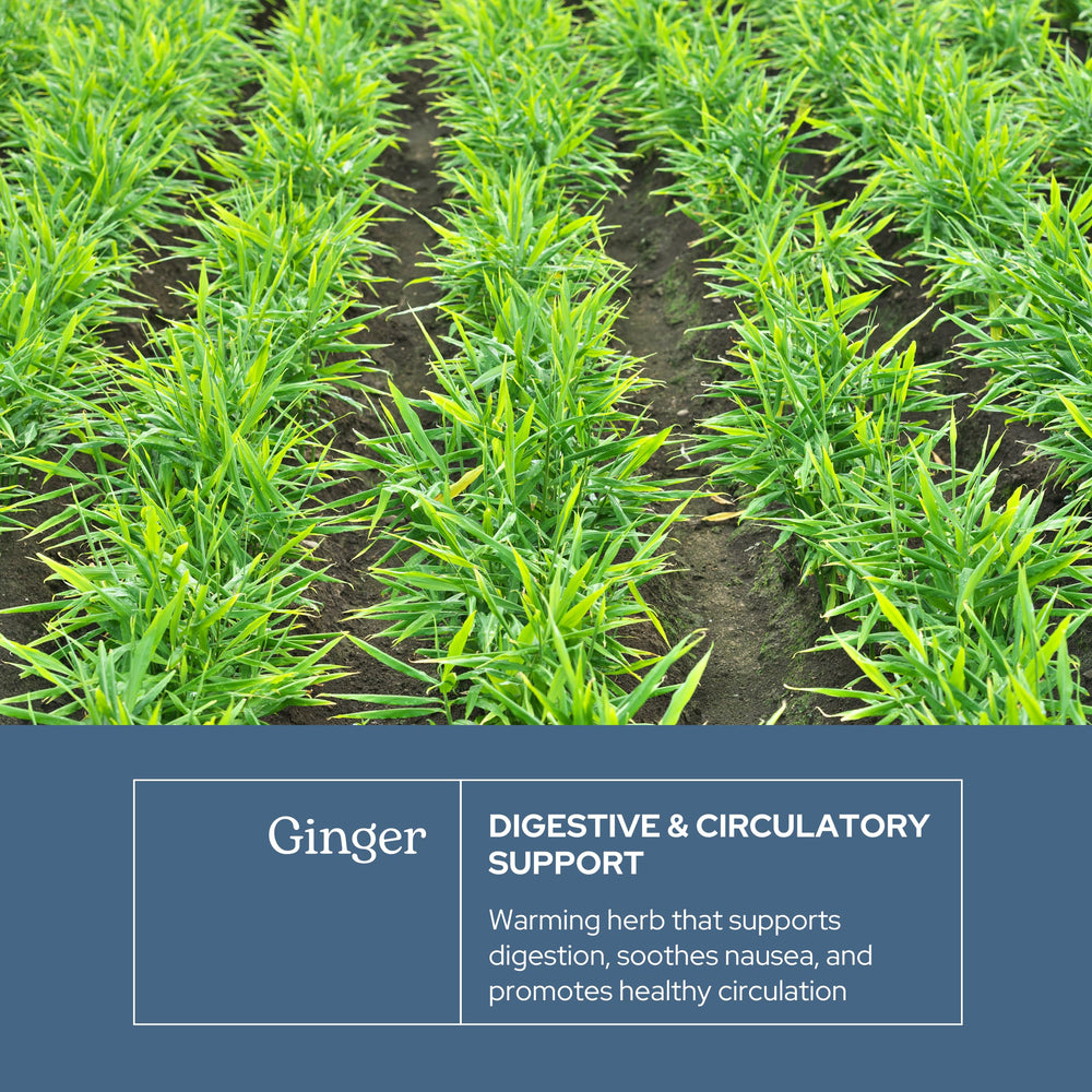 Ginger for digestive health benefits image