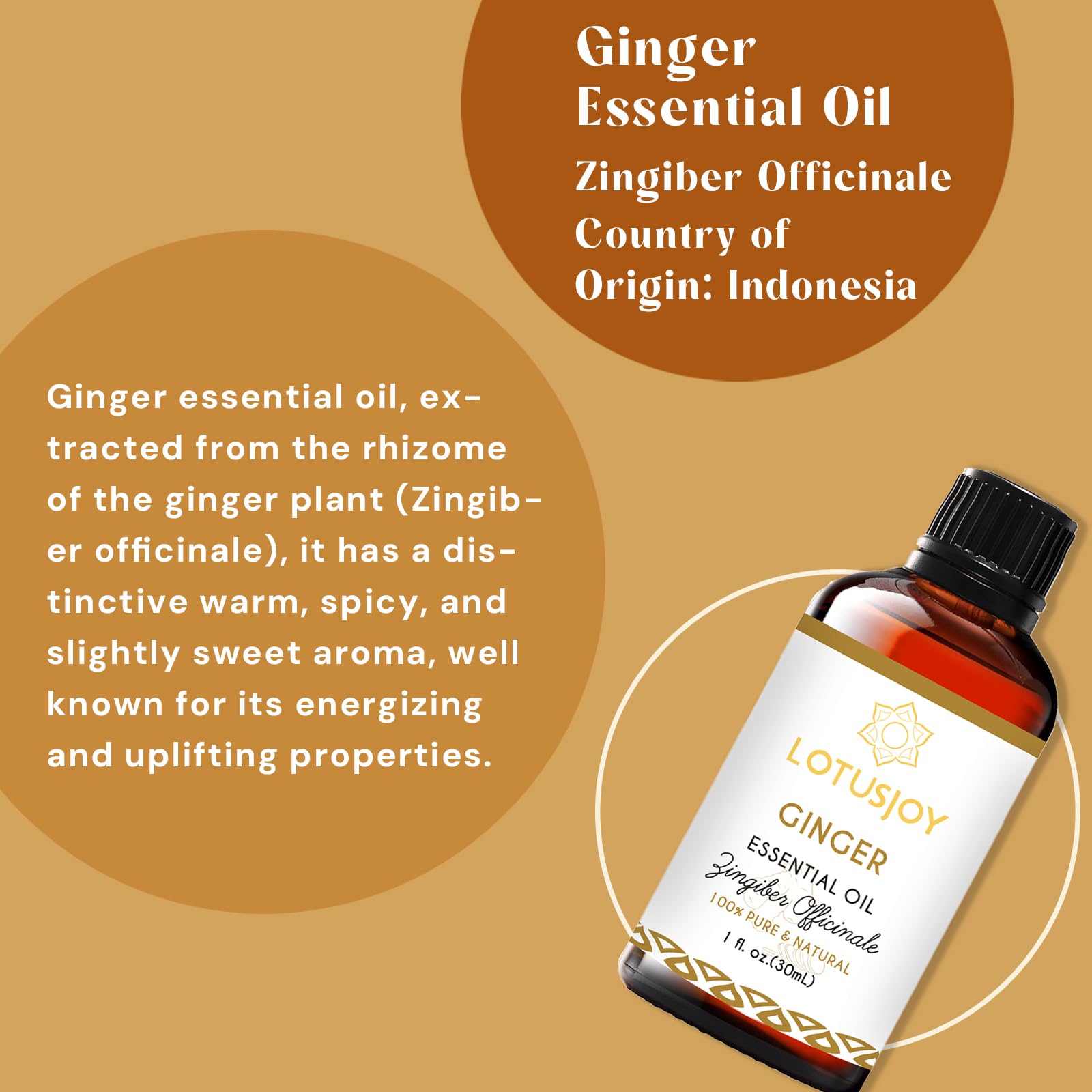 Ginger essential oil used in massage oil