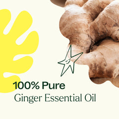 Third-party GC-MS report for ginger essential oil