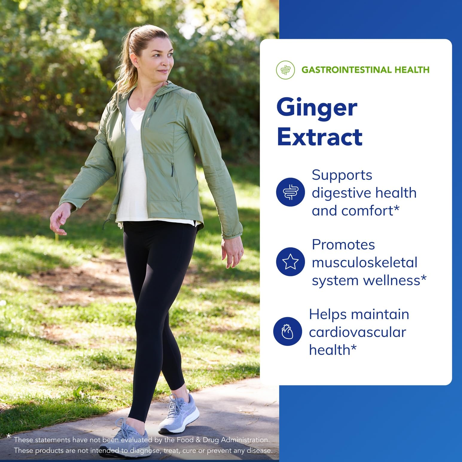 Ingredients panel for Ginger Extract