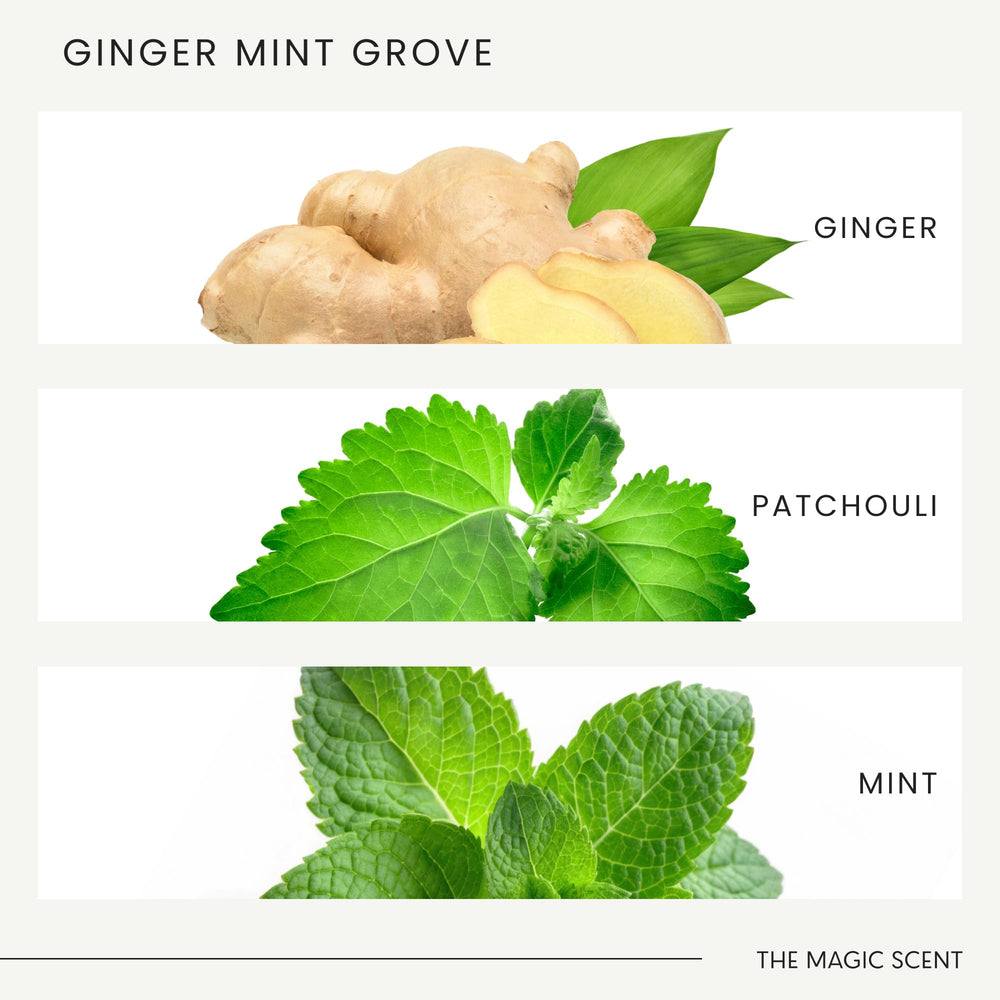 Ginger Mint Grove diffuser oil cap close-up