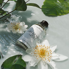Ginger Mint Grove diffuser in a room setting