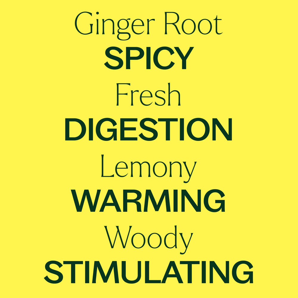 Ginger oil bottle shown for diffuser use
