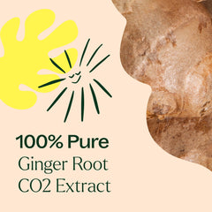 Ginger essential oil for topical use with carrier oil