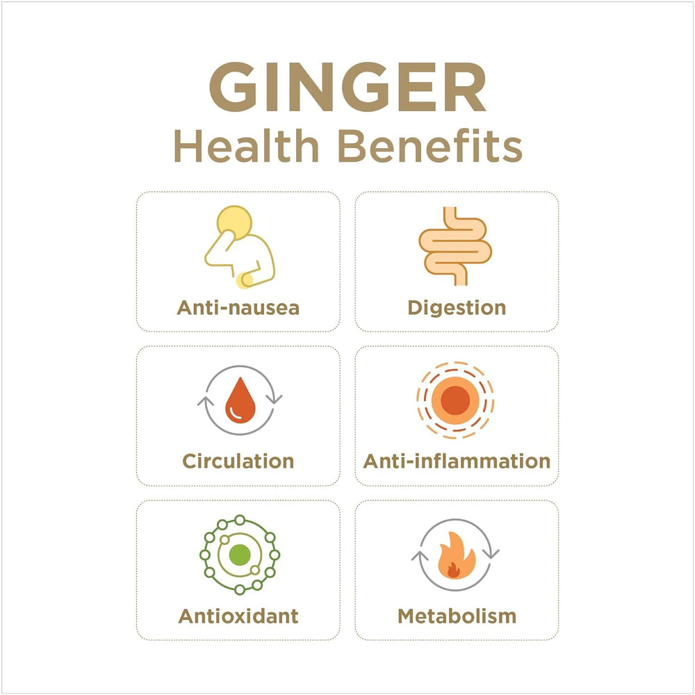Ingredients panel for Ginger Rescue Chewable Tablets