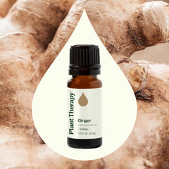 Ginger steam distilled essential oil bottle with dropper cap