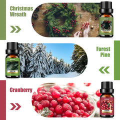 Gingerbread scented oil 6x10ml