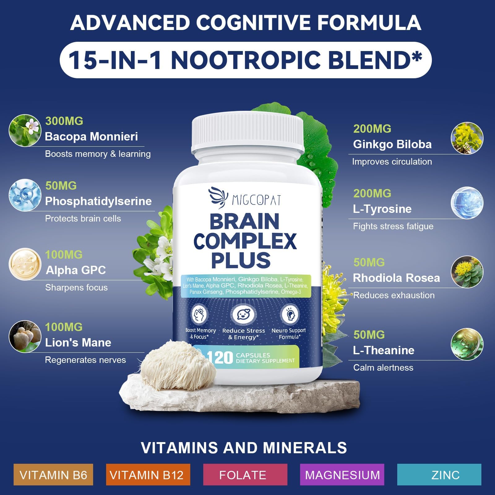 Ginkgo Biloba ingredient in supplement formula