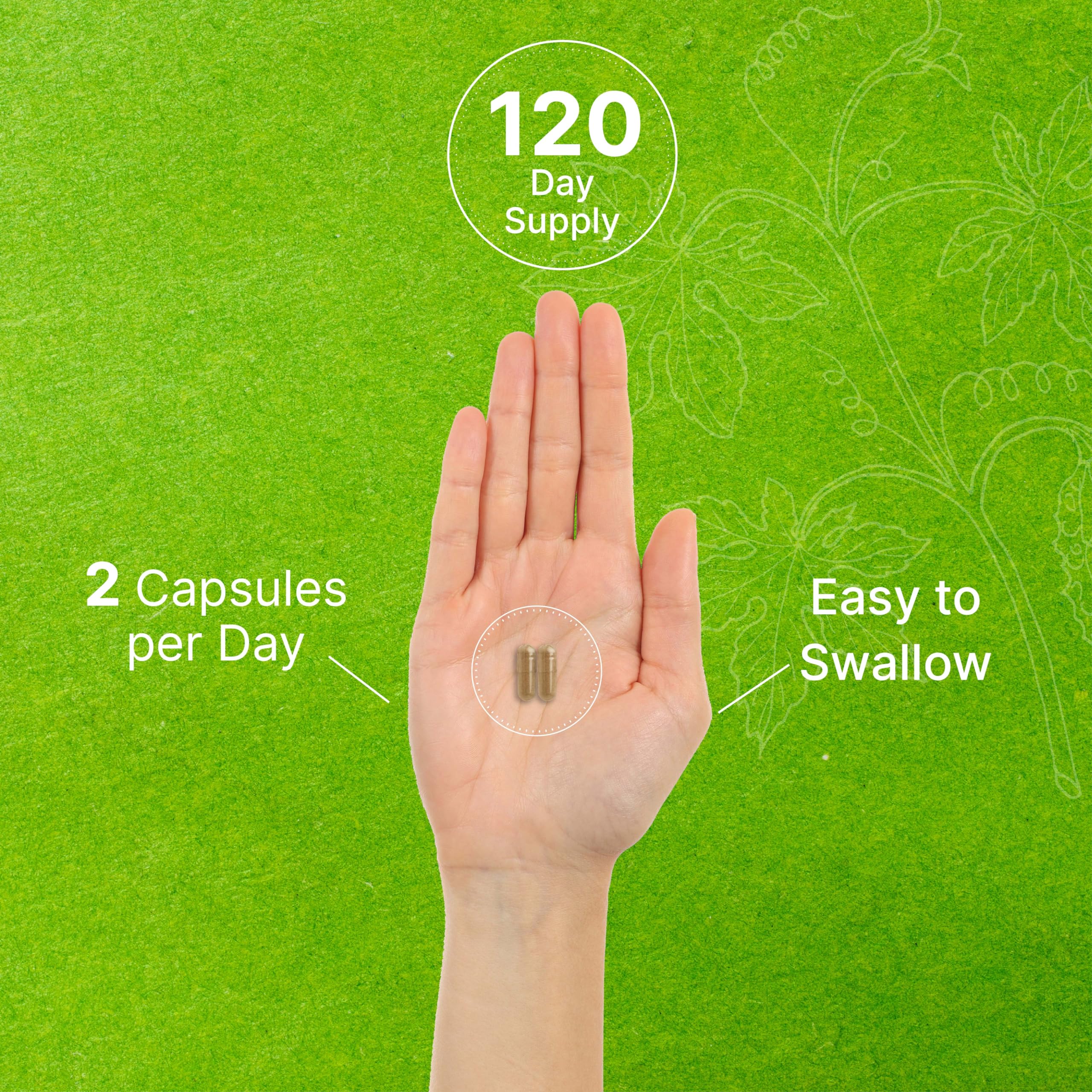 Graphic showing 240-count capsules