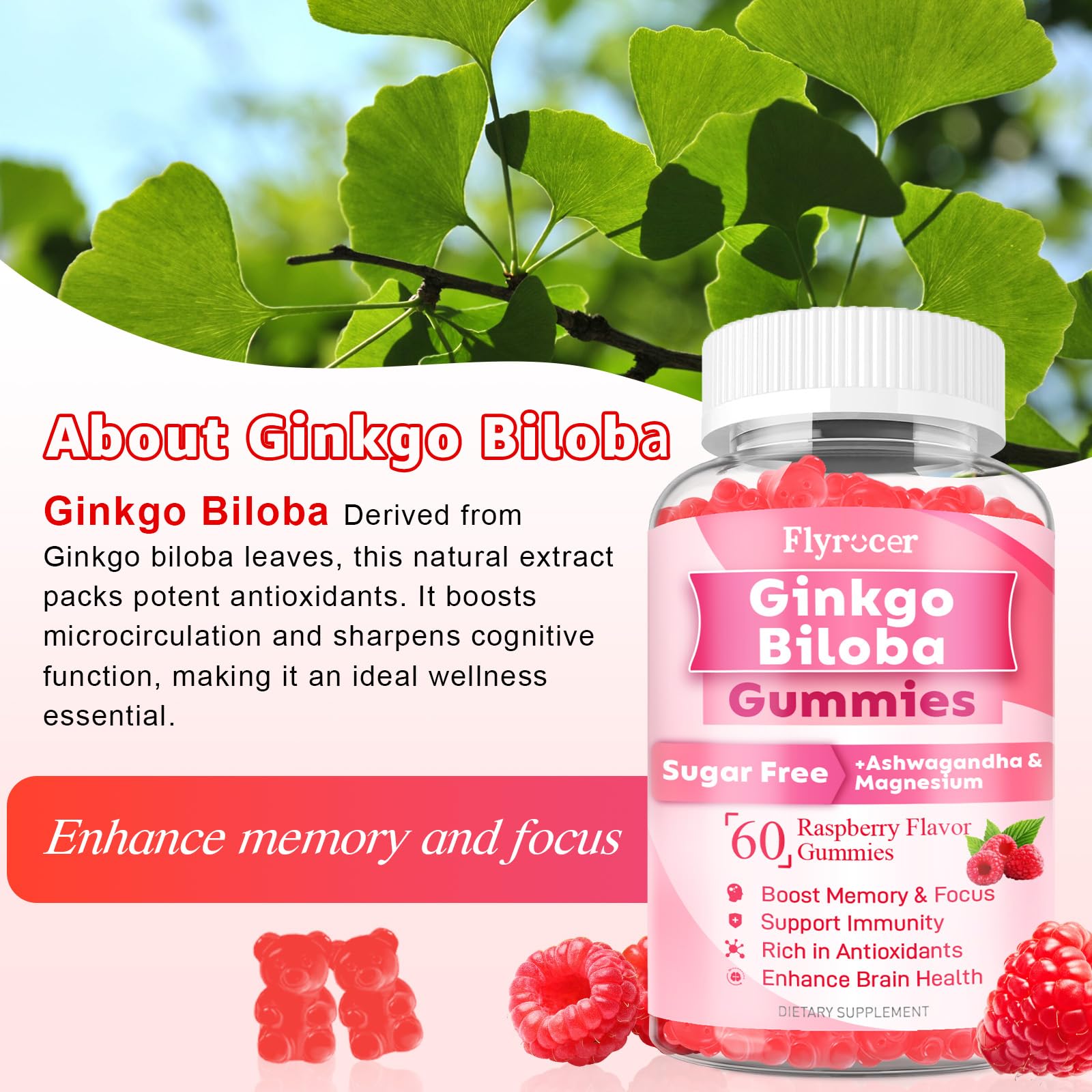 60-count packaging view of Ginkgo Biloba Gummies