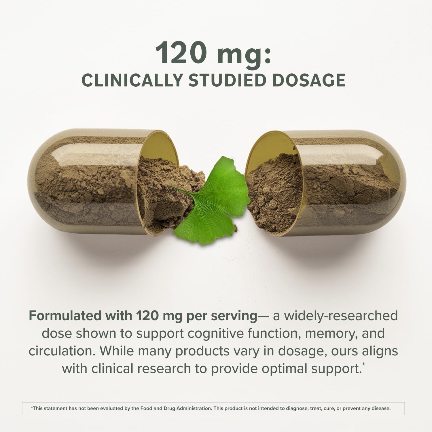 Ginkgo Biloba leaf extract standardized image